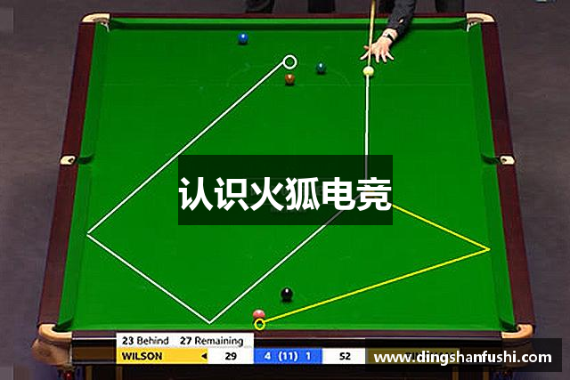 认识火狐电竞